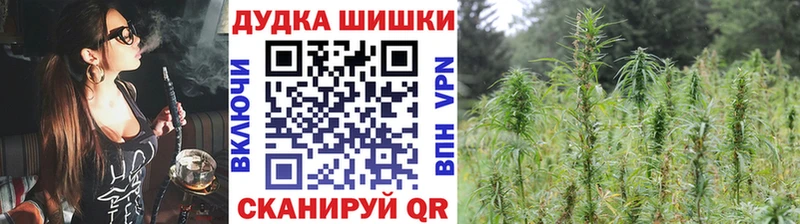 Виды наркотиков купить Миасс А ПВП  Меф  Cocaine  ГАШ  Каннабис 