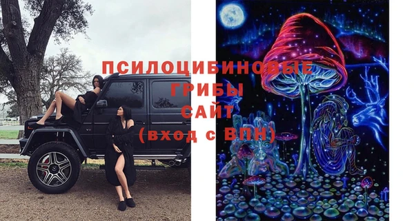 героин Алексин