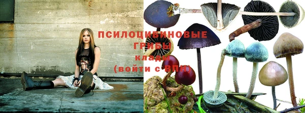 Альфа ПВП Алексеевка