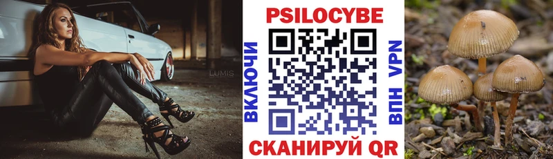 Галлюциногенные грибы прущие грибы  MEGA ТОР  Миасс  как найти  